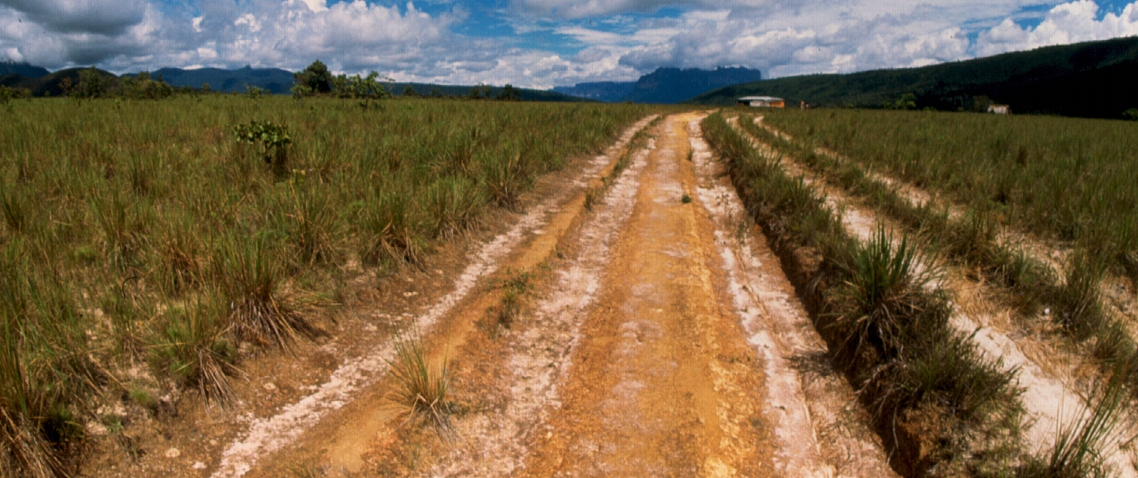 Vista de el rastro de un carro en la Gran Sabana de Venezuela