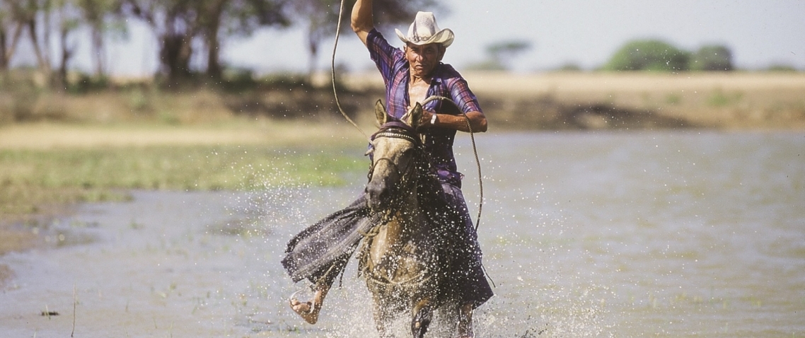 jinete cabalgando en los Llanos de Venezuela 