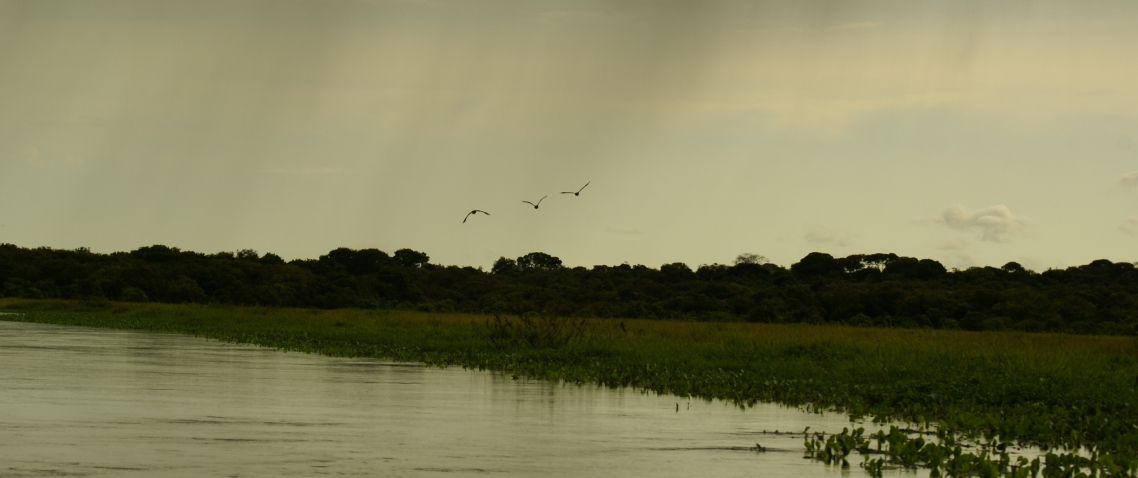 Atardecer en los llanos de El Cedral, Venezuela