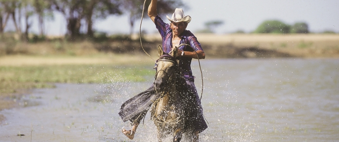 Llanero cabalgando rapidamente 