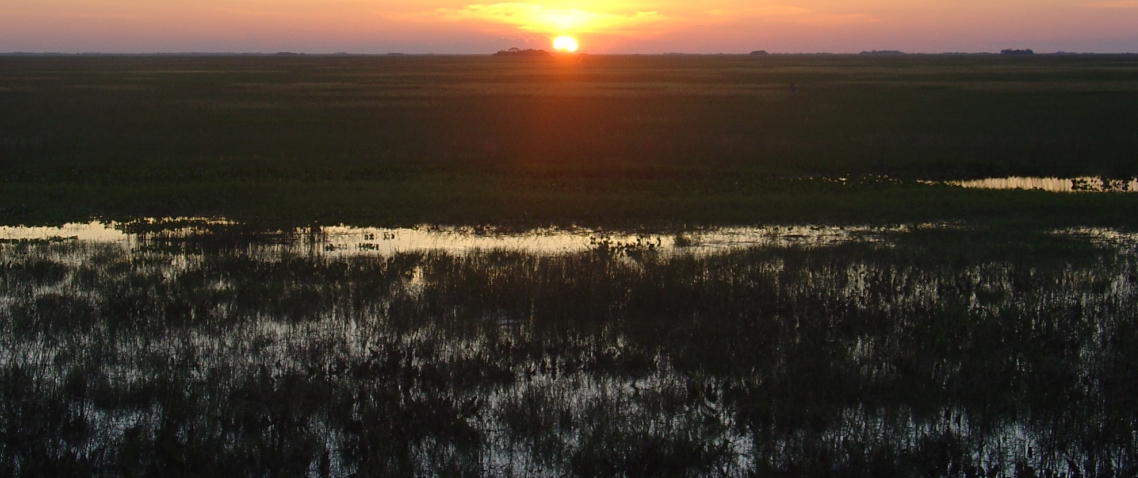 Atardecer en Los Llanos de Venezuela