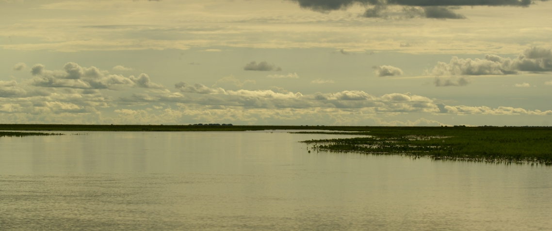 Atardecer en el hato El Cedral en los llanos venezolanos