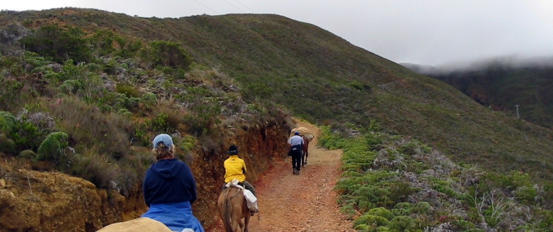 Jinetes camino a Los Nevados, Mérida - Venezuela 